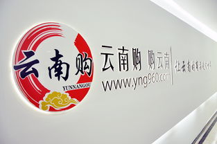 云南購，購云南 奧遠科技助力云南商品與品牌走向世界
